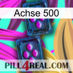 Axcil 500 03